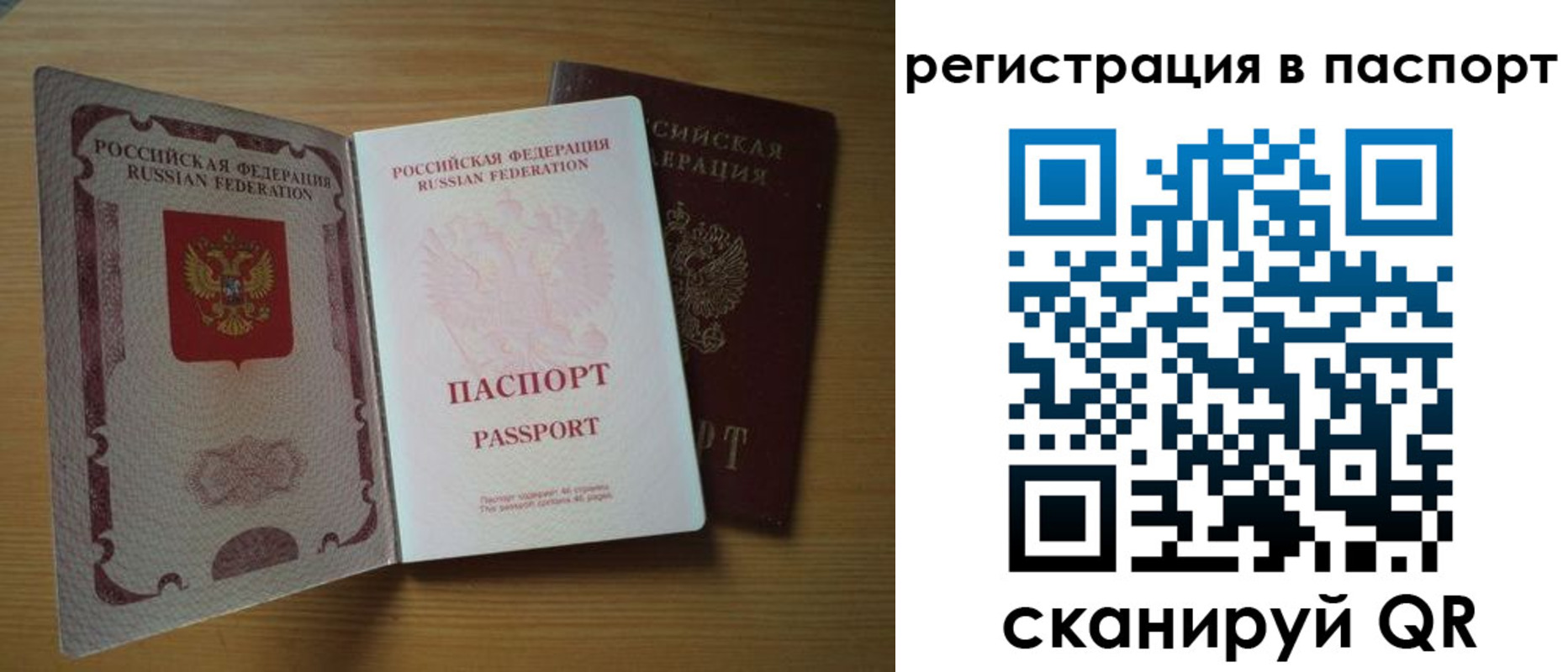 прописка для школы в Королёве